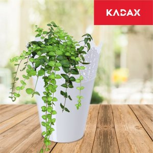 Kadax Doniczka Osłonka Na Kwiaty Rośliny Biała 14,5 cm 6