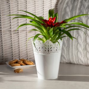 Kadax Doniczka Osłonka Na Kwiaty Rośliny Biała 14,5 cm 9