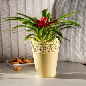 Kadax Doniczka Osłonka Na Kwiaty Rośliny Żółta 16,5cm 9