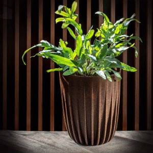 Kadax Doniczka Eko Osłonka + Wkładka Brązowa 14,5x17cm 3