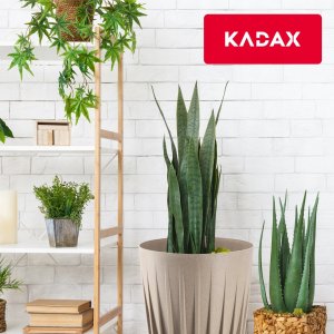 Kadax Doniczka Donica Wkład Osłonka Na Kwiaty Brąz 30cm 7