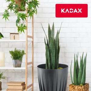 Kadax Doniczka Osłonka Eko* + Wkładka Antracyt 19x22,5cm 4