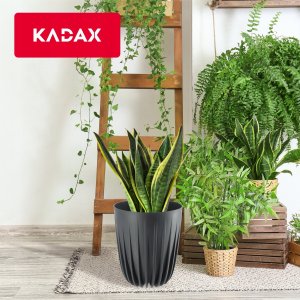 Kadax Doniczka Osłonka Eko* + Wkładka Antracyt 19x22,5cm 5