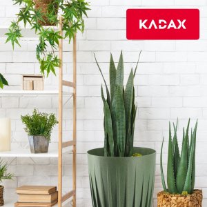 Kadax Eko Doniczka Osłonka + Wkładka Zielona 14,5x17cm 6