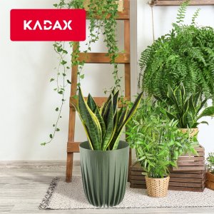 Kadax Eko Doniczka Osłonka + Wkładka Zielona 19x22,5cm 6