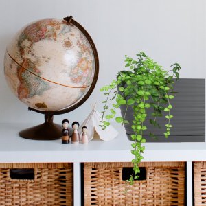 Kadax Doniczka Osłonka Na Kwiaty Podstawka Antracyt 27cm 5