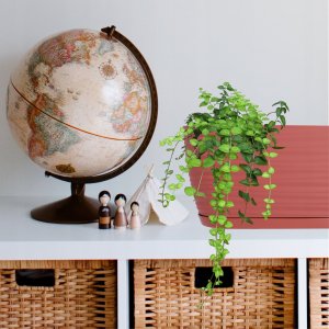 Kadax Doniczka Osłonka Na Kwiaty Podstawka Bordowa 27cm 5