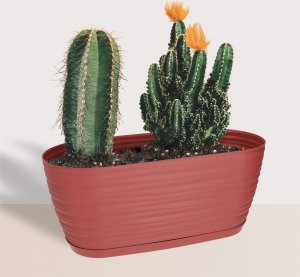 Kadax Doniczka Osłonka Na Kwiaty Podstawka Bordowa 27cm 7