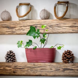 Kadax Doniczka Osłonka Na Kwiaty Podstawka Bordowa 27cm 10