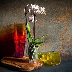 Kadax Doniczka Osłonka Na Storczyk Kwiaty Żółta 12cm 5