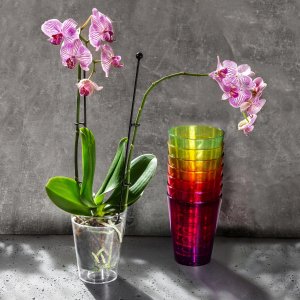 Kadax Doniczka Osłonka Na Storczyk Kwiaty Miodowa 12cm 3