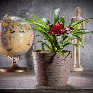 Kadax Doniczka Osłonka Na Kwiaty Okrągła Beżowa 15 cm 9