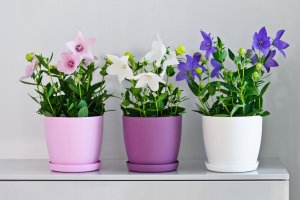 Kadax Doniczka Osłonka Na Kwiaty Podstawka Różowa 20cm 12