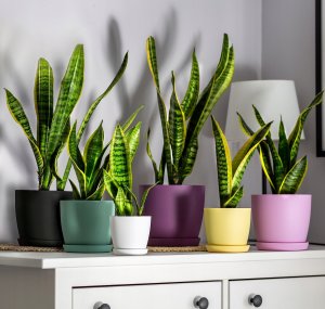 Kadax Doniczka Osłonka Na Kwiaty Podstawka Różowa 20cm 15
