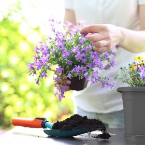 Kadax KADAX Podstawka Pod Doniczkę 80cm Prostokątna 4