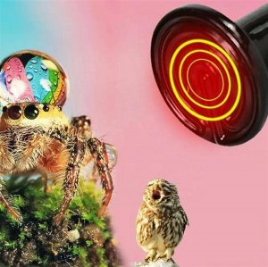 Aptel Żarówka grzewcza E27 50W czarna (AG902) 2