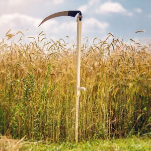 Kadax Kosisko Do Kosy Ogrodowej Ręcznej Drewniane 175 cm 3