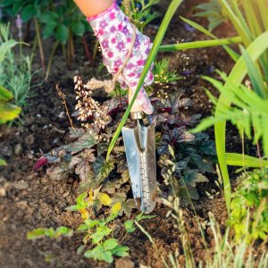 Kadax Łopatka Ogrodowa Stalowa Do Przesadzania 31 cm 5