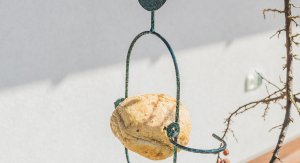 Kadax Karmnik Wiszący Karmidło Na Pokarm Dla Ptaków 31cm 11