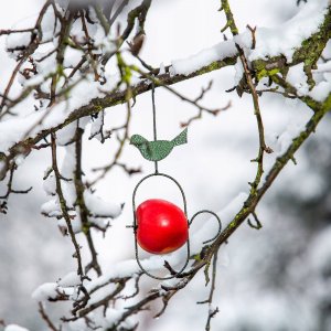Kadax Karmnik Wiszący Karmidło Na Pokarm Dla Ptaków 31cm 3