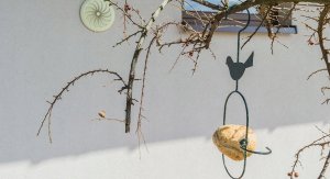 Kadax Karmnik Wiszący Karmidło Na Pokarm Dla Ptaków 31cm 4