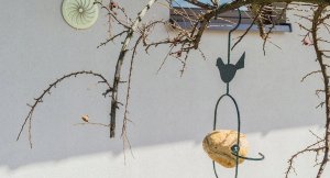 Kadax Karmnik Wiszący Karmidło Na Pokarm Dla Ptaków 31cm 6