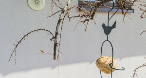 Kadax Karmnik Wiszący Karmidło Na Pokarm Dla Ptaków 31cm 7