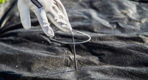 Kadax Szpilka Kołek Do Mocowania Agrowłókniny 100szt 3