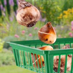 Kadax KADAX Koszyk Osłonka Do Sadzenia Cebulek 28cm 8