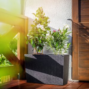 Kadax Kwietnik Donica + Wkład Rattan Czarna 19x56 cm 2