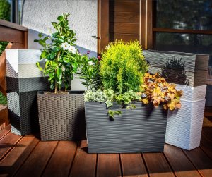 Kadax Kwietnik Donica + Wkład Rattan Czarna 19x56 cm 9