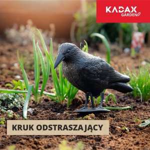 Kadax Kruk Odstraszacz Ptaków Gołębi Szpaków Balkon 2szt 6