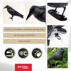 Kadax Kruk Odstraszacz Ptaków Gołębi Szpaków Balkon 2szt 10