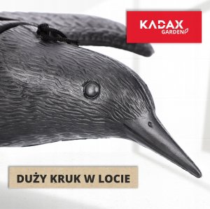 Kadax Duży Kruk W Locie Odstraszacz Ptaków Gryzoni 56 cm 2