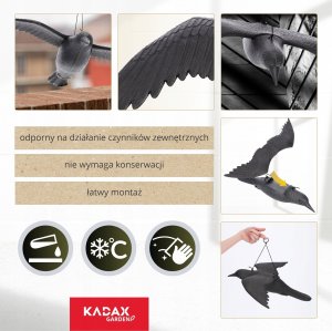 Kadax Duży Kruk W Locie Odstraszacz Ptaków Gryzoni 56 cm 5