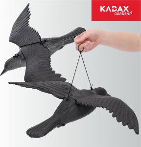 Kadax Duży Kruk W Locie Odstraszacz Ptaków Gryzoni 56 cm 7