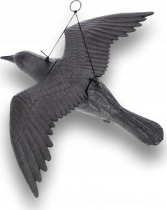 Kadax Duży Kruk W Locie Odstraszacz Ptaków Gryzoni 56 cm 8