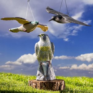 Kadax Duży Kruk W Locie Odstraszacz Ptaków Gryzoni 56 cm 10