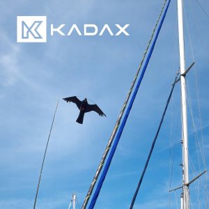 Kadax Odstraszacz Ptaków Szpaków Latawiec Jastrząb Duży 3