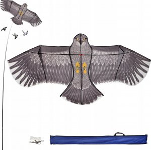 Kadax Latawiec Duży Dla Dzieci 180cm Orzeł Ptak Z Linką 1