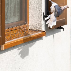 Kadax Kolce Na Ptaki Gołębie Nierdzewne Gęste 26 x 34 cm 5