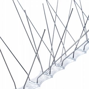 Kadax Kolce Na Ptaki Gołębie Nierdzewne Gęste 26 x 34 cm 10