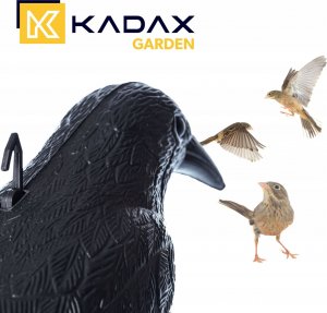 Kadax KADAX Kruk Odstraszacz Ptaków +Kolce Na Ptaki 6szt 11
