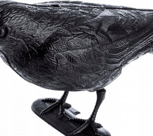 Kadax KADAX Kruk Odstraszacz Ptaków +Kolce Na Ptaki 6szt 10