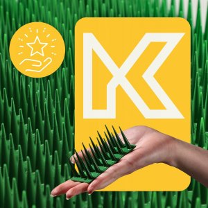 Kadax Plastikowe Kolce Na Ptaki Gołębie Gęste 6szt 3,06M 12