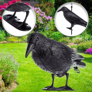 Kadax Kruk Odstraszacz Ptaków Gołębi Szpaków Duży 2szt 7