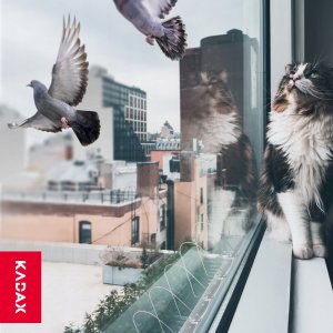 Kadax Spirale Na Ptaki Gołębie Jaskółki Odstraszanie Ndz 4