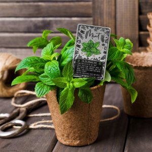 Kadax Tabliczka Etykieta Znacznik Ziół Roślin Przypraw 6