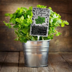 Kadax Tabliczka Etykieta Znacznik Ziół Roślin Przypraw 5