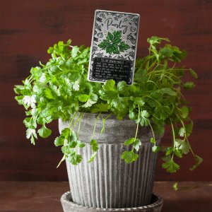 Kadax Tabliczka Etykieta Znacznik Ziół Roślin Przypraw 7